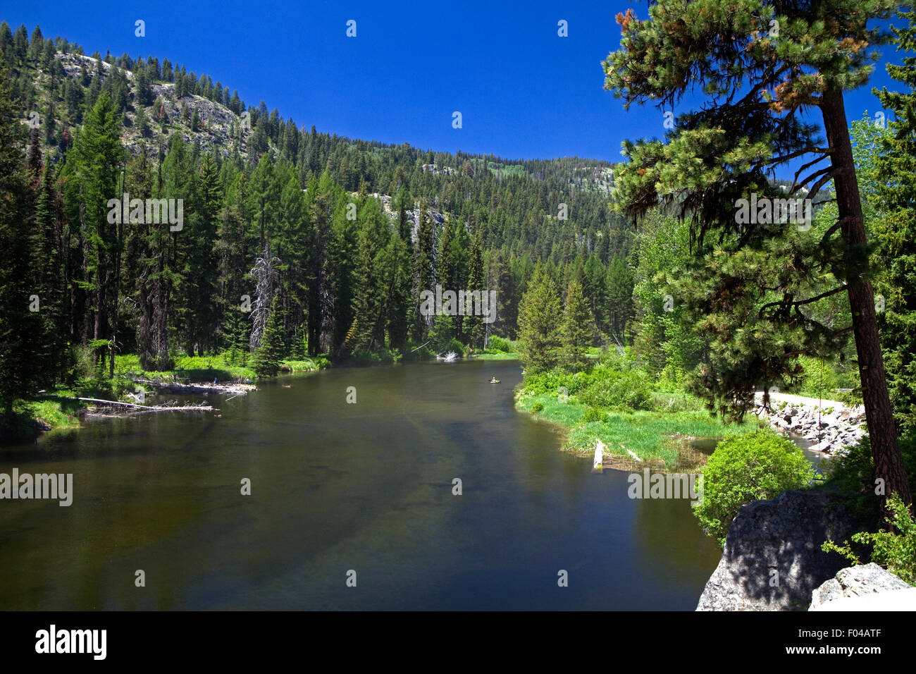 Upper Payette River inlet flowing into Payette Lake, McCall, Idaho, USA. Stock Photo