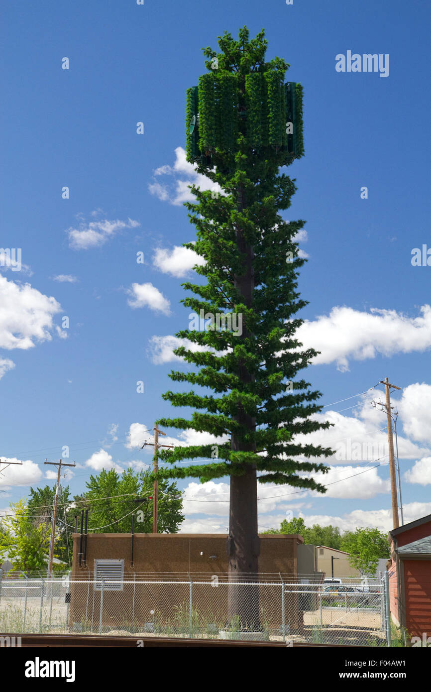 Pine tree camouflaged cellular tower in Boise, Idaho, USA. Stock Photo