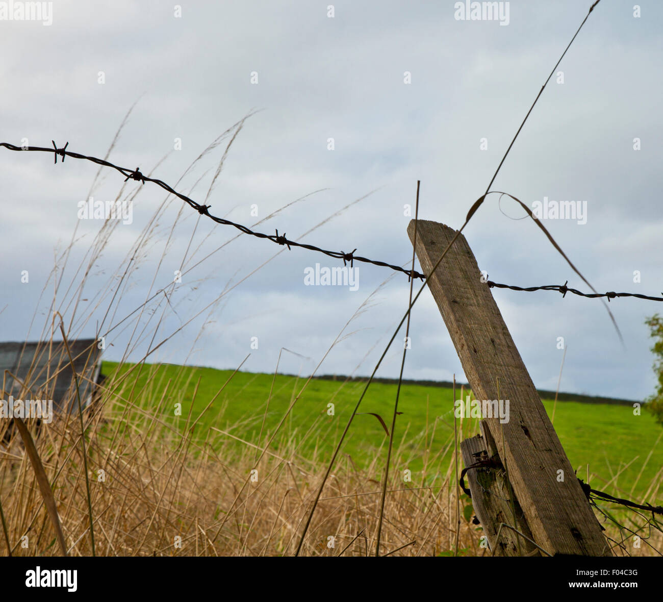 Barbed wire fence  in a Yorkshire landscape Stock Photo