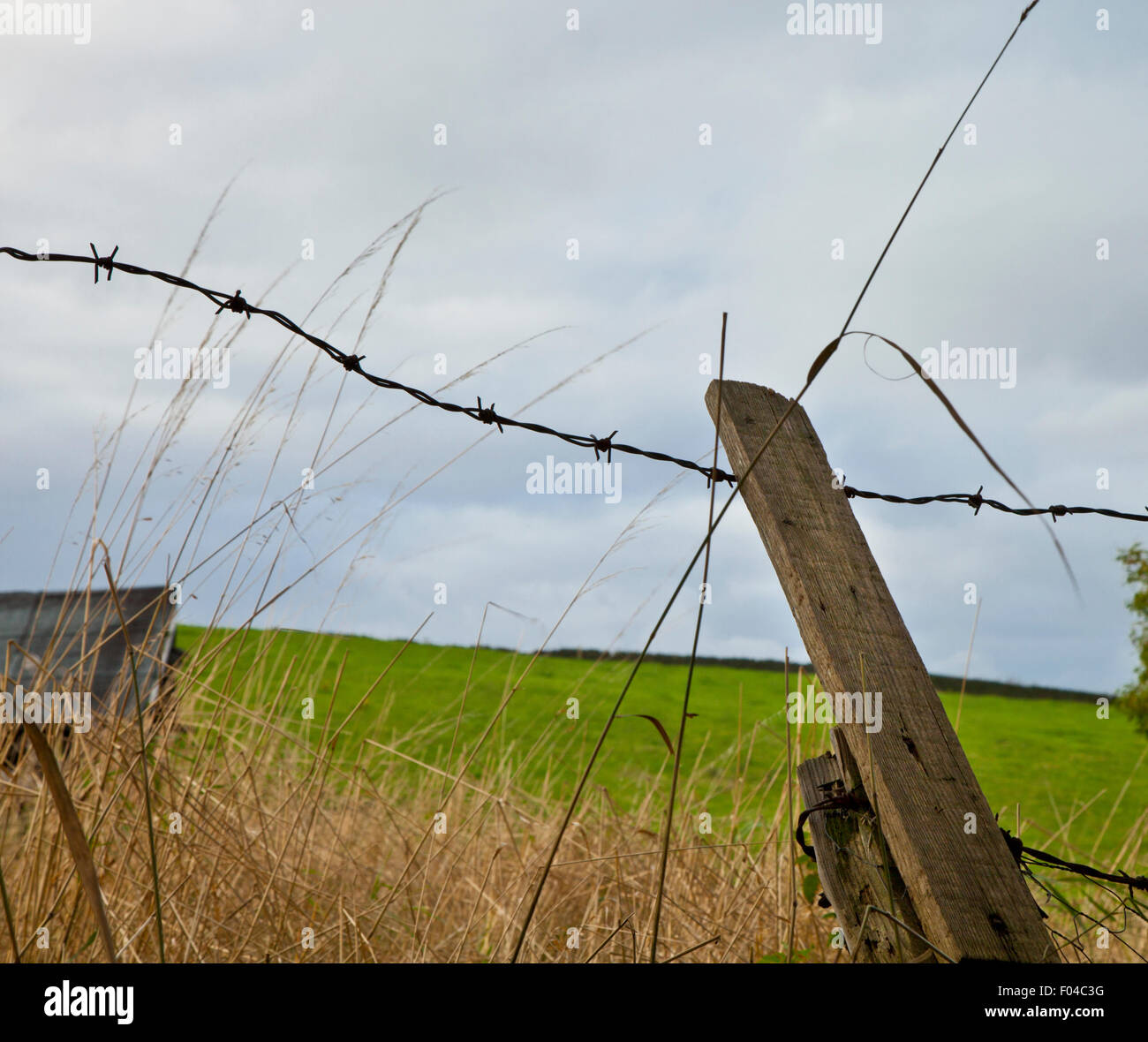 Broken Barbed Wire Fence Stock Photos & Broken Barbed Wire Fence ...