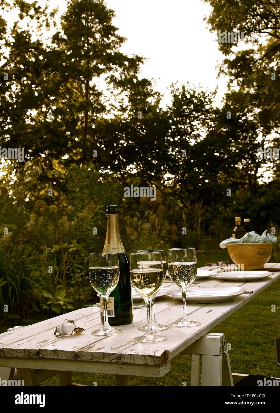 Summer drinks before dinner Stock Photo Alamy