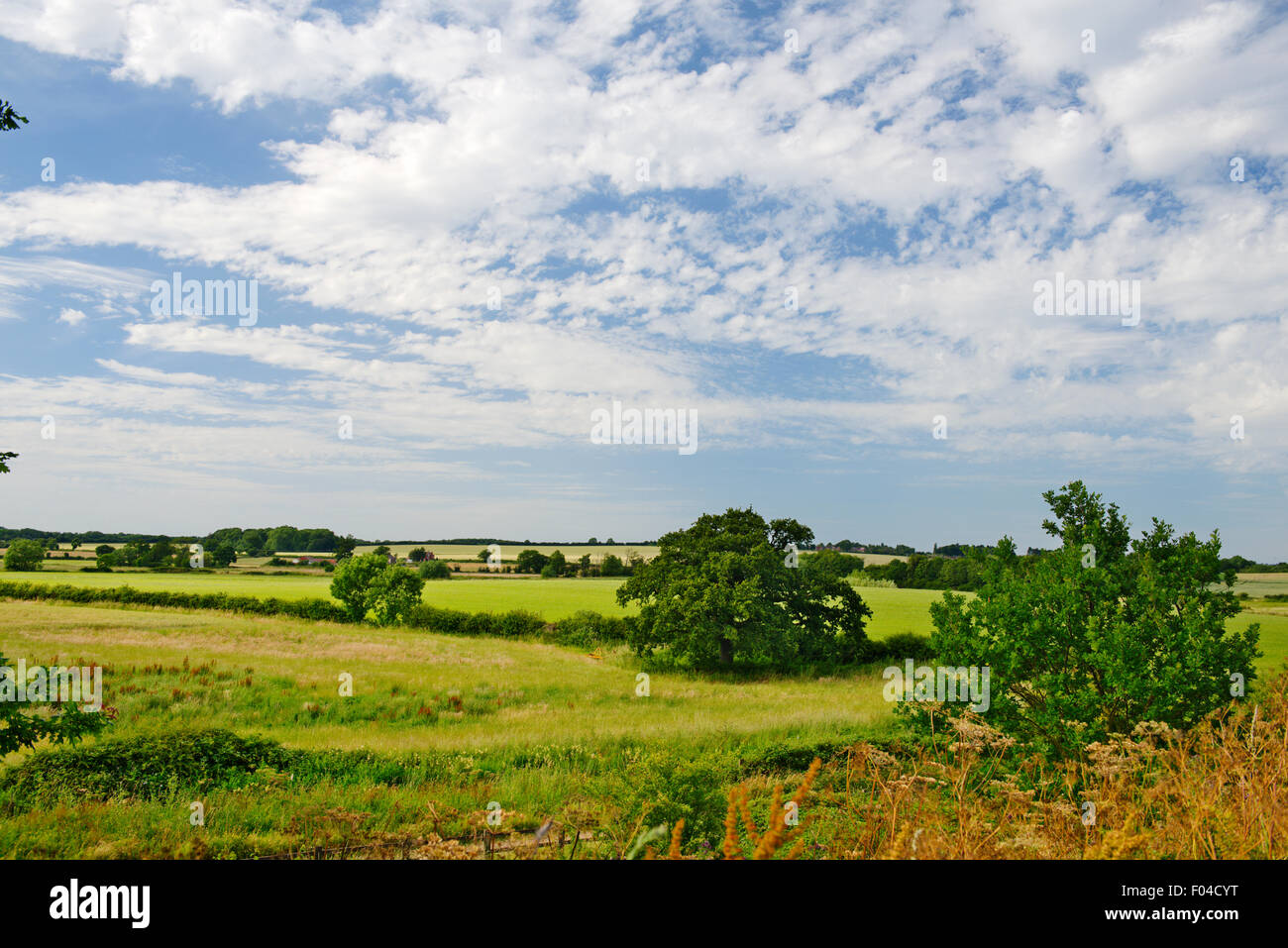 Staffordshire fields and countryside near Tamworth Stock Photo