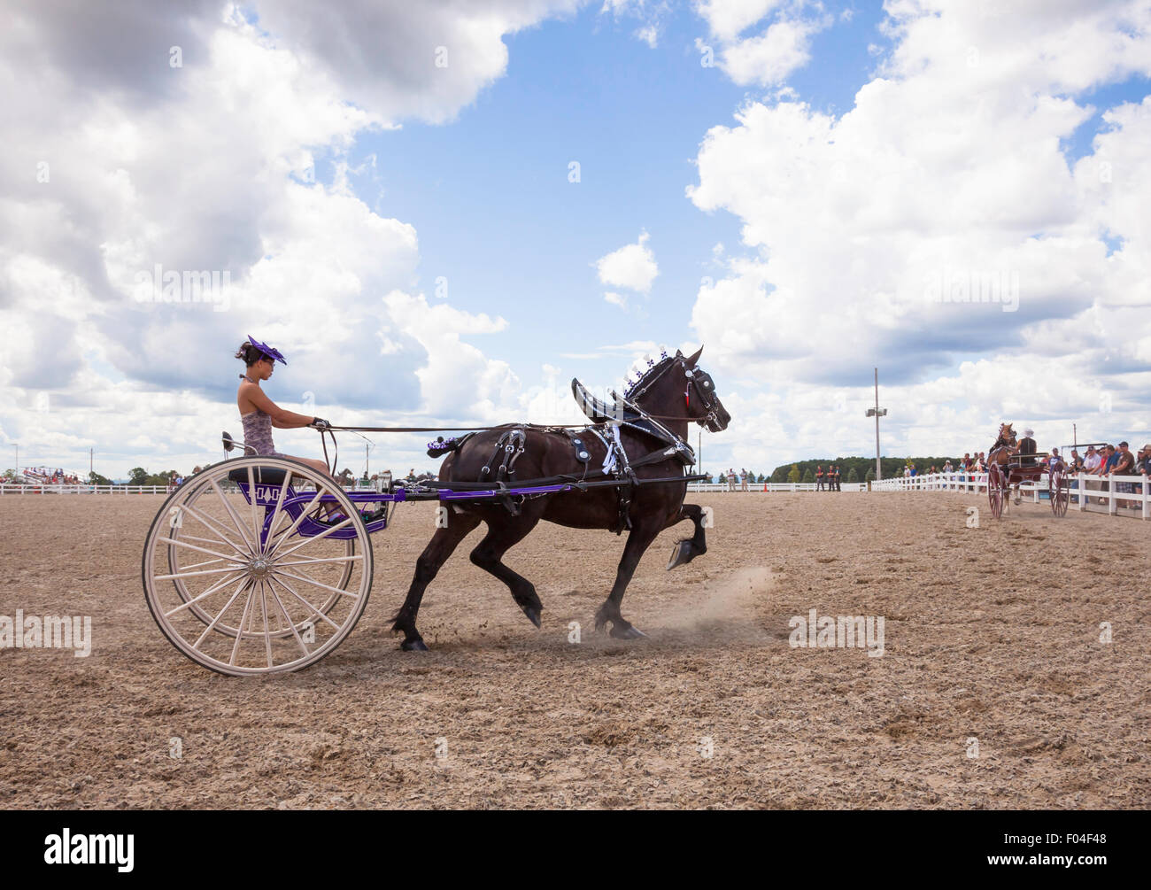 Draft Horse Exhibition in Ivy;Ontario;Canada;Canadian National Exhibition;Ladies 2 wheel; All