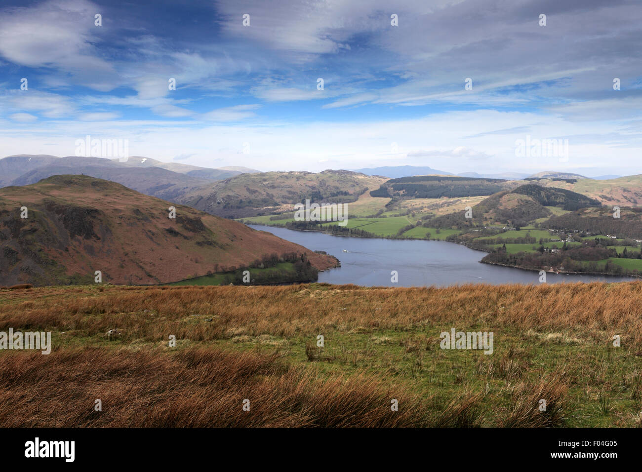 High view of Ullswater from Swarth Fell, Lake District National Park, Cumbria County, England, UK. Stock Photo