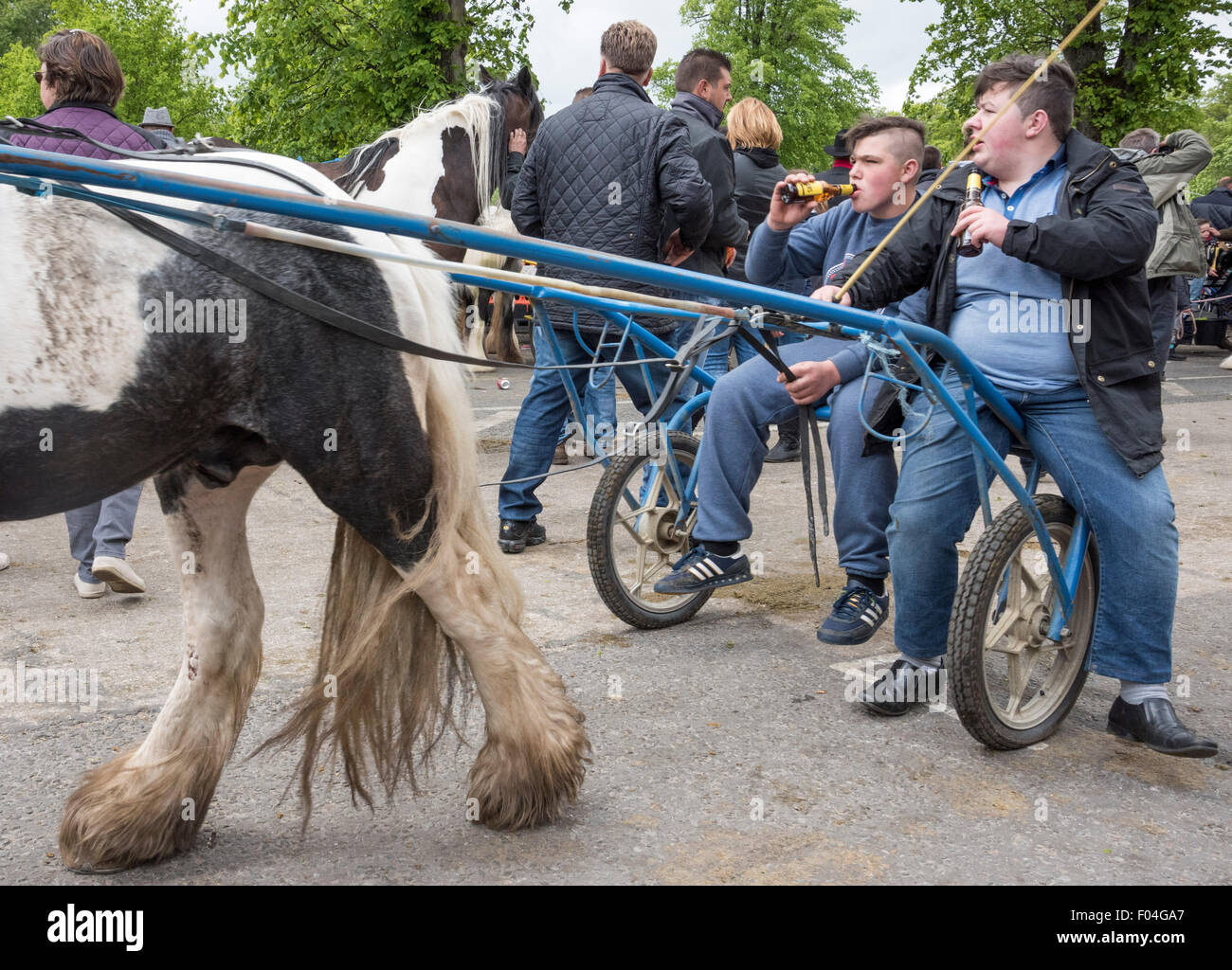 Appleby horse fair, Appleby-in-Westmorland, Cumbria. Stock Photo