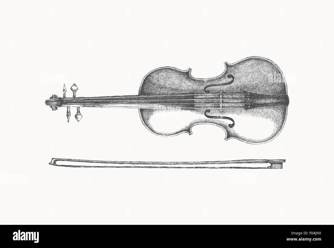 Viola Instrument Drawing