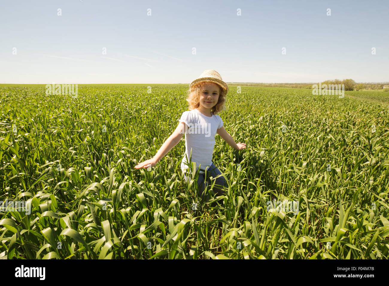 Little blonde girl in a wheat field, summer outdoor Stock Photo - Alamy