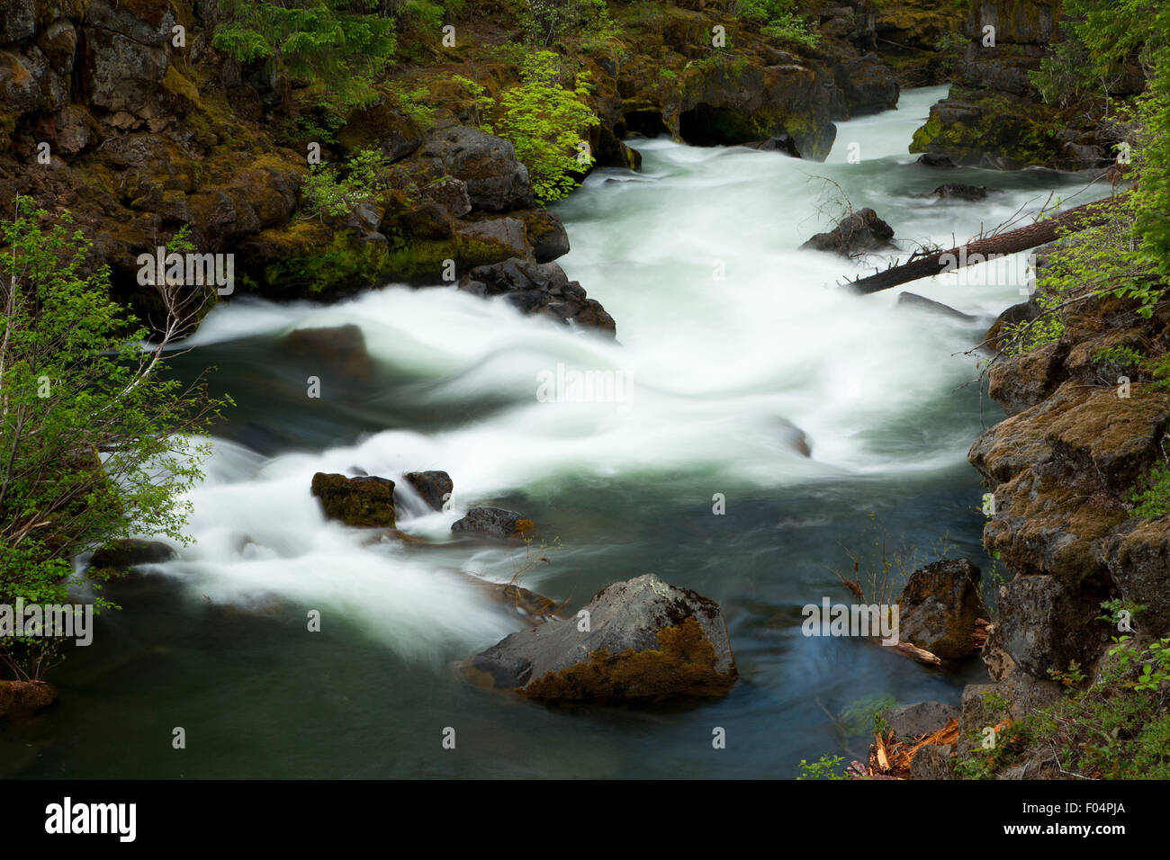 Natural Bridge outlet, Rogue Wild and Scenic River, Rogue River ...