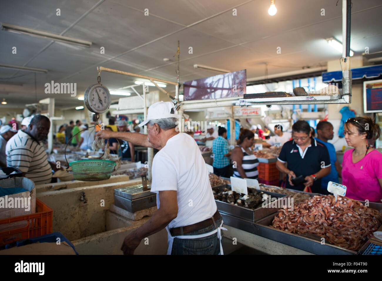 PANAMA CITY, Panama — A vendor displays fresh shrimp, prawns, and shellfish at a stall in the Mercado de Mariscos (Seafood Market). Located along the waterfront adjacent to Casco Viejo, this market serves as the city's primary seafood trading hub. The facility houses numerous vendors selling fresh seafood caught daily from Panama's waters. Stock Photo