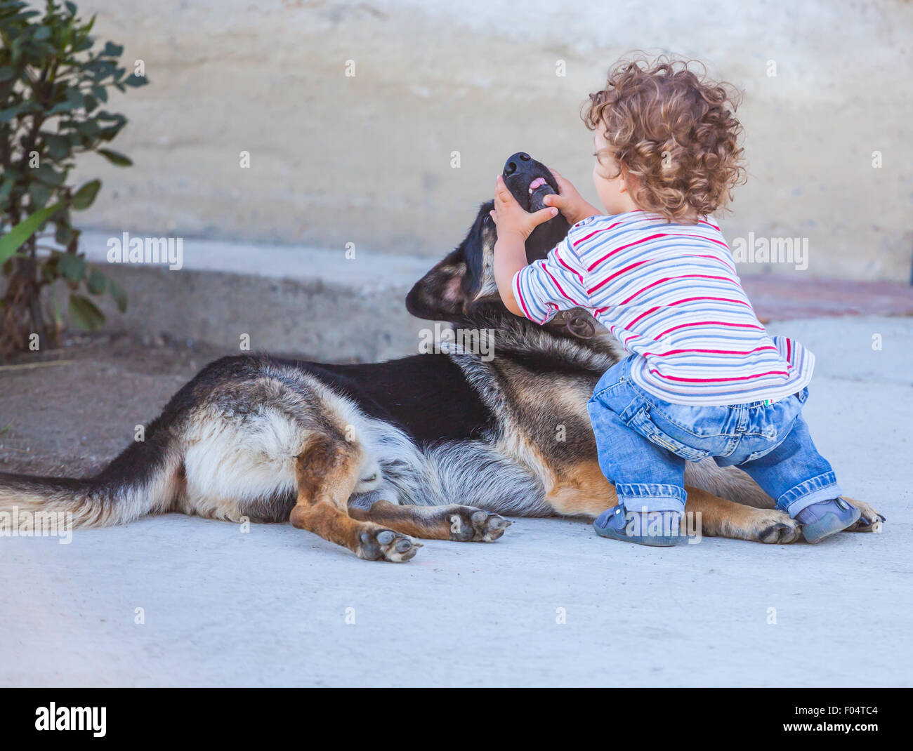 Portrait of 1 year old baby boy playing with his dog friend Stock Photo