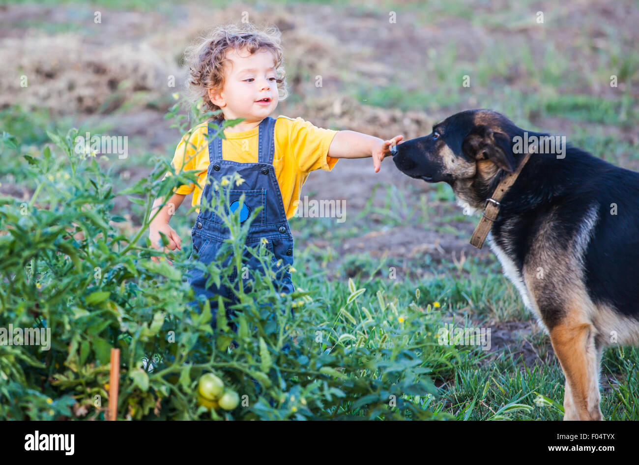 Portrait of 1 year old baby boy playing with his dog friend Stock Photo