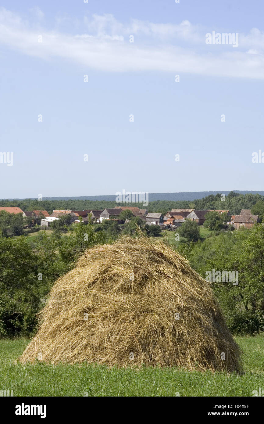 Hay stack with village behind Stock Photo