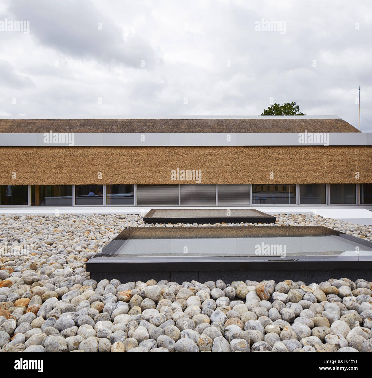 Flint stone roofing with skylights. The Enterprise Centre UEA, Norwich