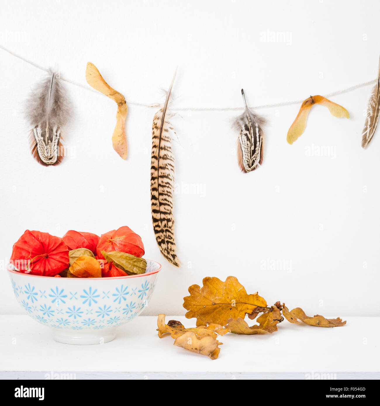 a bowl of chinese lanterns on a white shelf, oak leaves and a feather garland Stock Photo