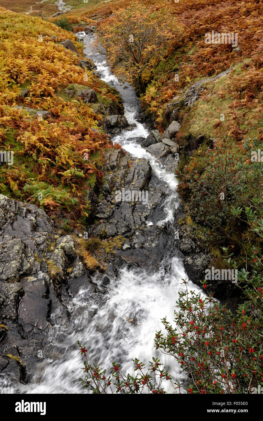 Waterfall cascades down a bracken covered hillside near Derwentwater in