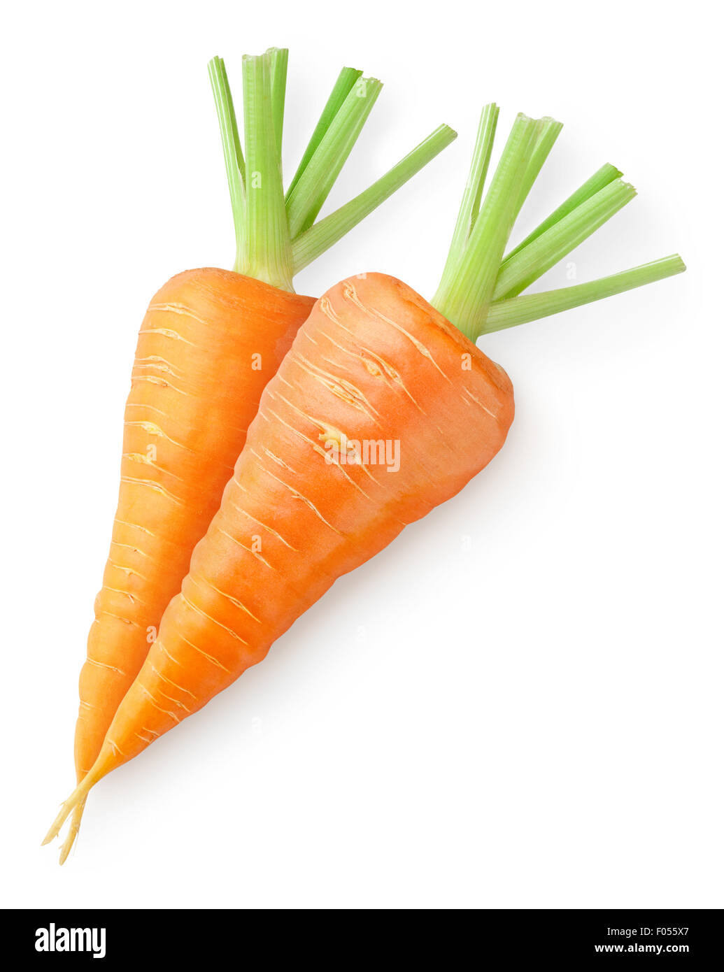 Two carrots isolated on white Stock Photo Alamy