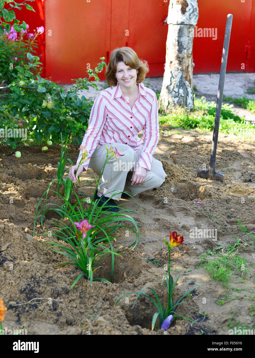 A Woman planting flowers in the garden Stock Photo - Alamy