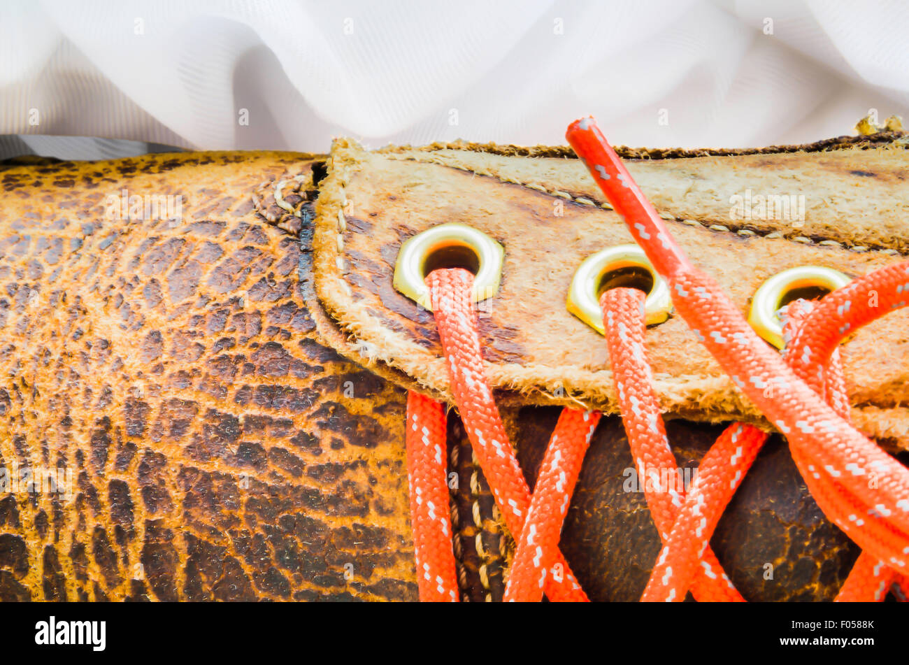 Old leather shoe, show leather texture Stock Photo Alamy