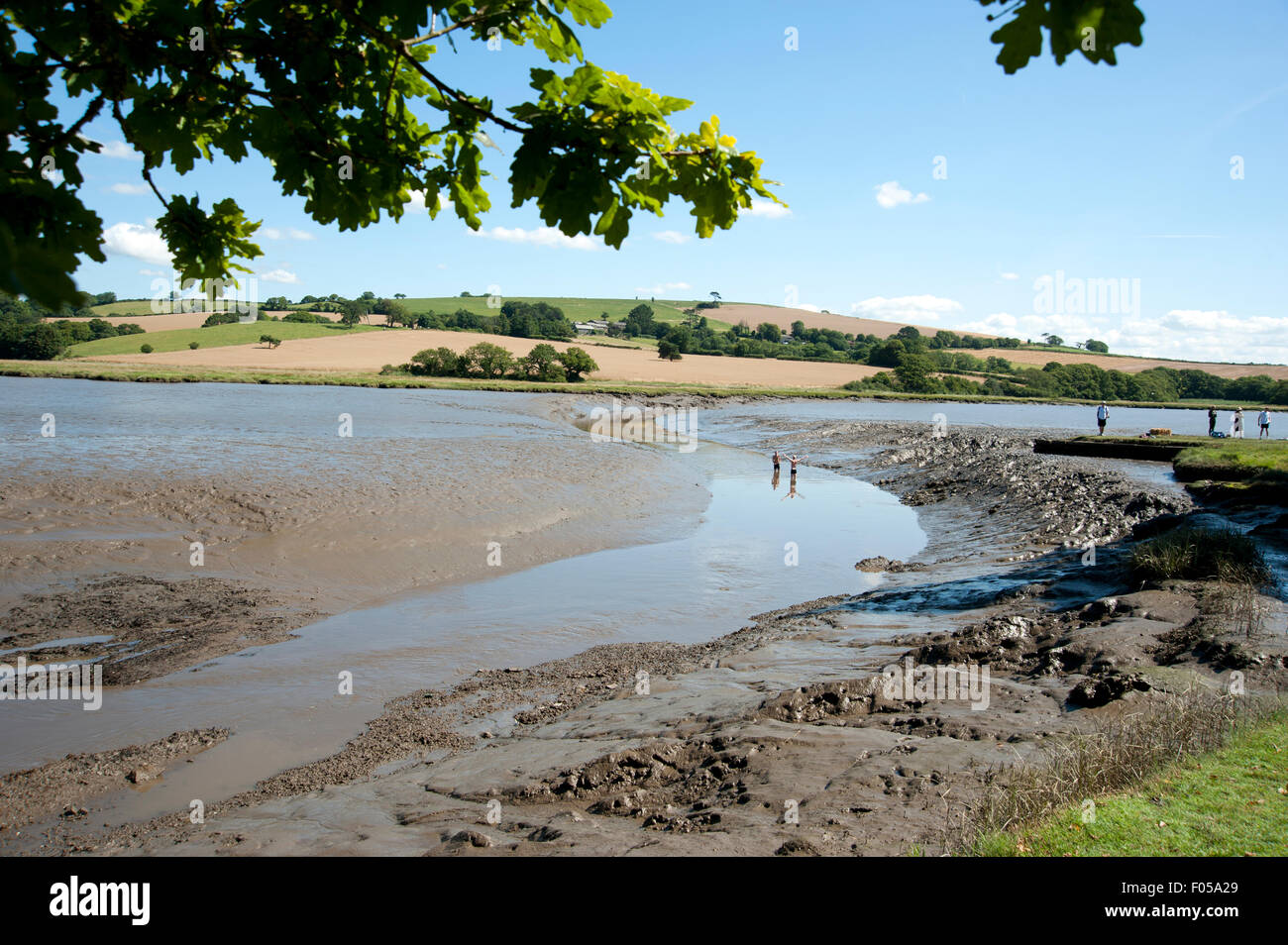 Two men wade in the shallow waters of the muddy estuary at the Port Eliot Festival Cornwall Stock Photo