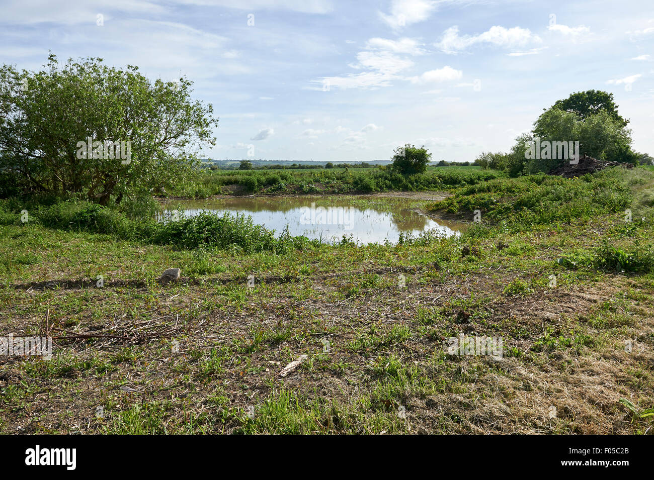 Conservation Habitat Pond on Agricultural Land. Stock Photo