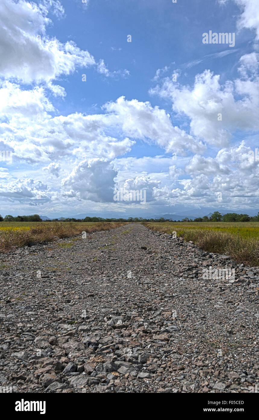 Stone road in the middle of a field with a blue sky Stock Photo