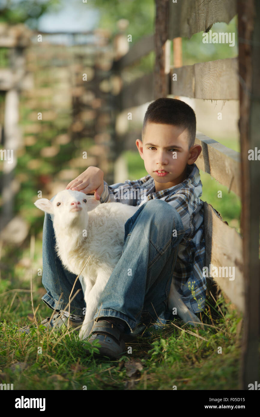 Boy lamb on farm hi-res stock photography and images - Alamy