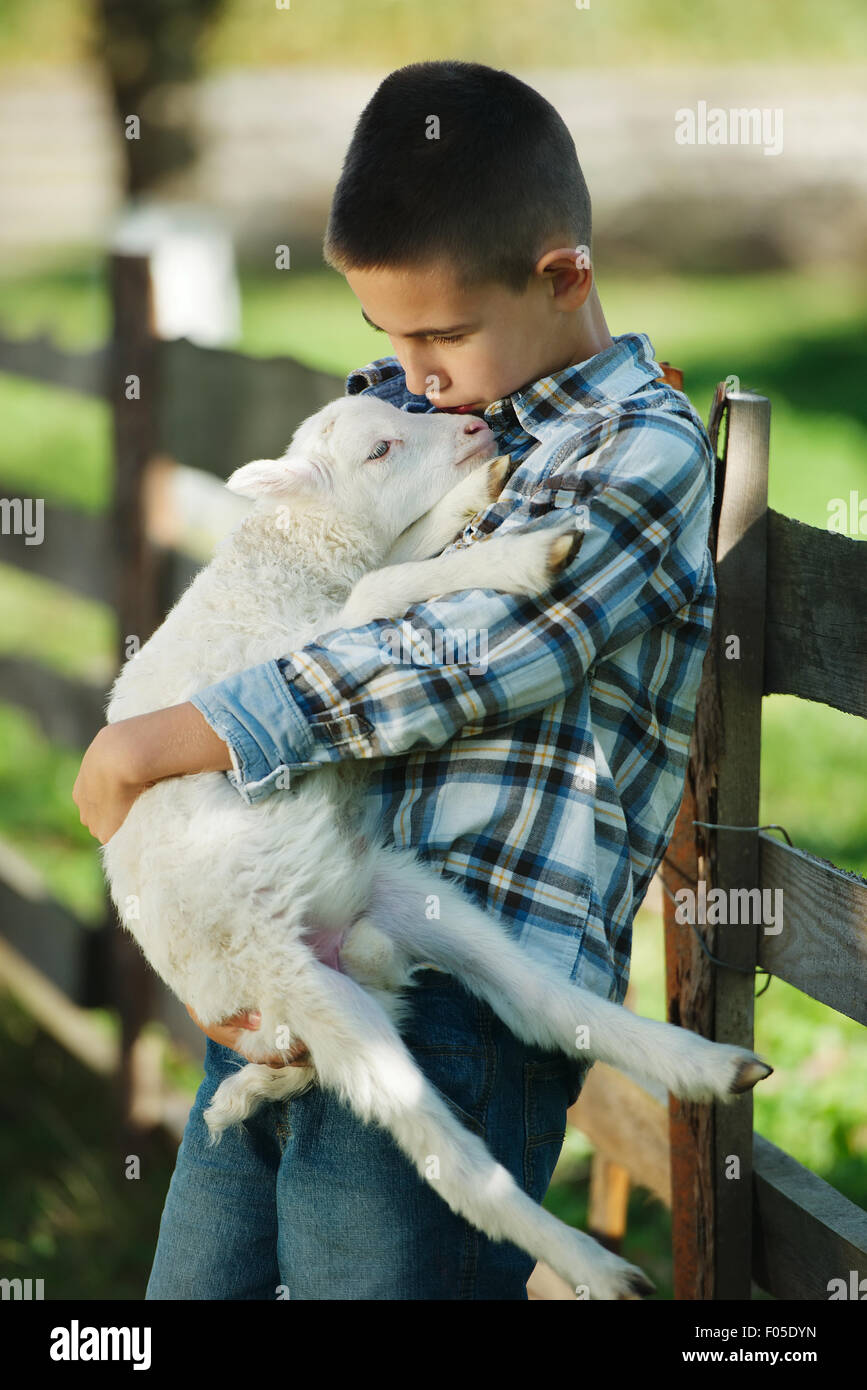 boy with lamb on the farm Stock Photo - Alamy