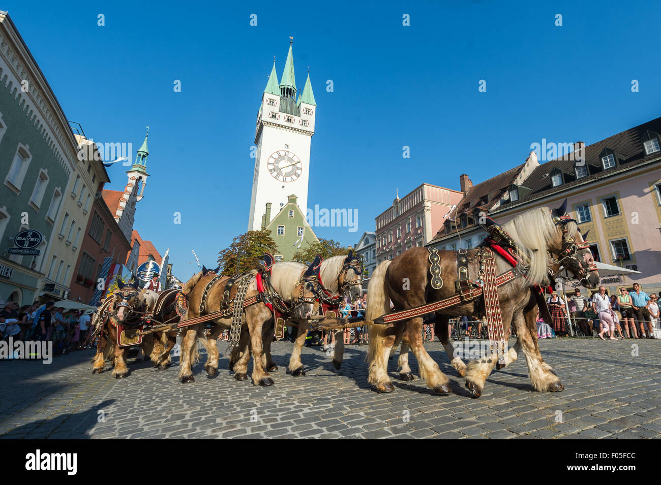 Straubing, Germany. 7th Aug, 2015. A brewery wagon in the traditional procession at the Gaeubodenvolksfest in Straubing, Germany, 7 August 2015. Around 1.4 million visitors are expected to attend the festival by 17 August. PHOTO: ARMIN WEIGEL/DPA/Alamy Live News Stock Photo