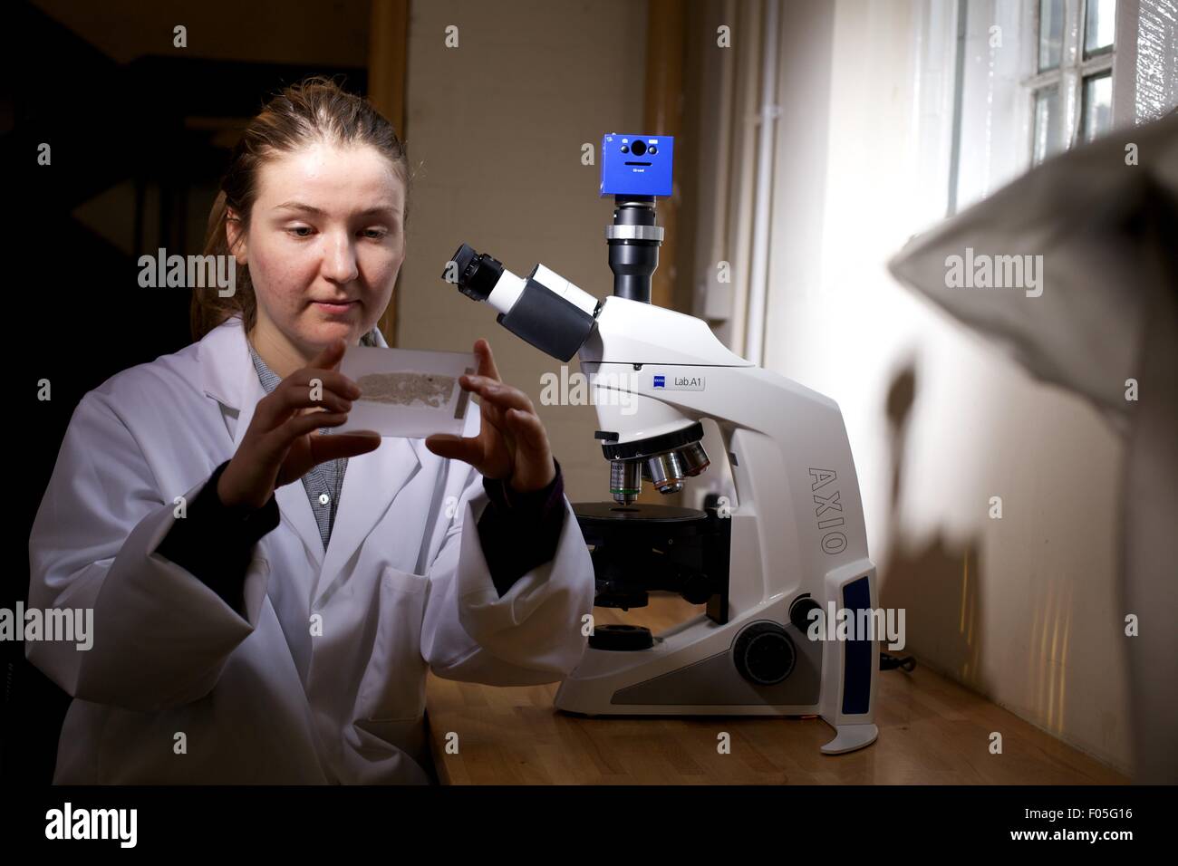 female student using a microscope Stock Photo - Alamy