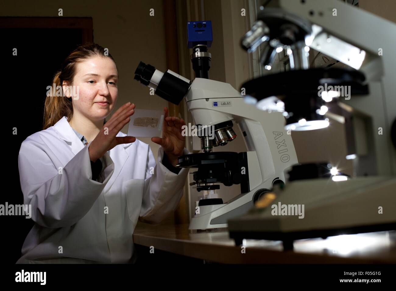 female student using a microscope Stock Photo - Alamy