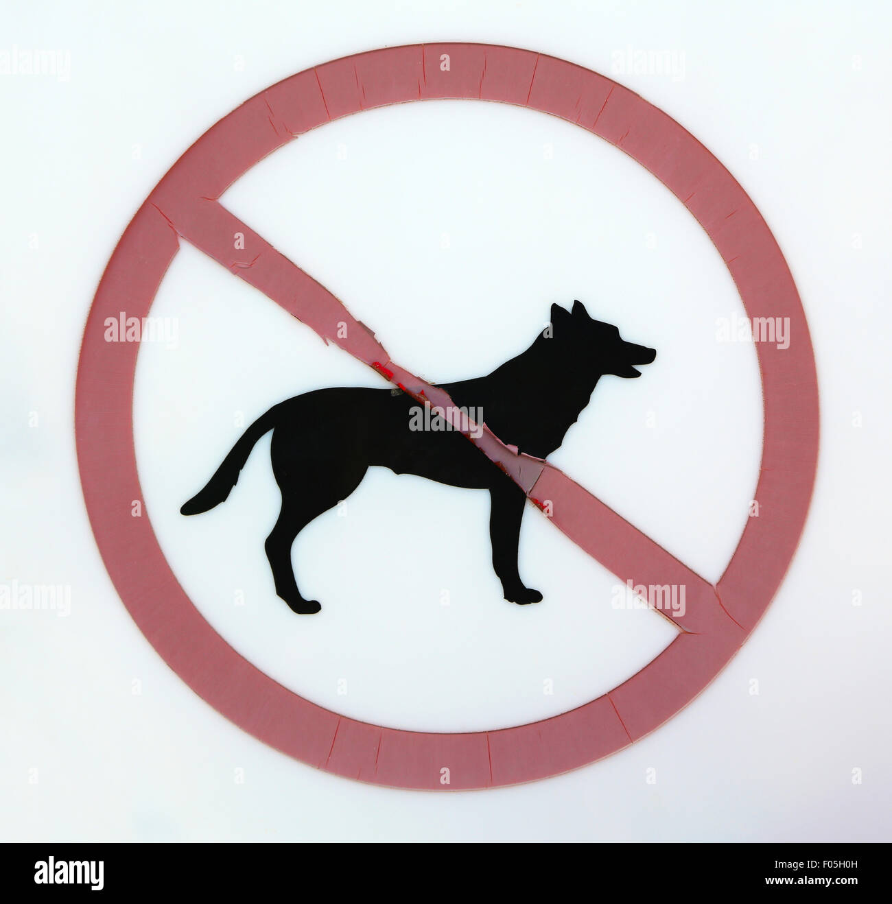 No dogs allowed sign Stock Photo