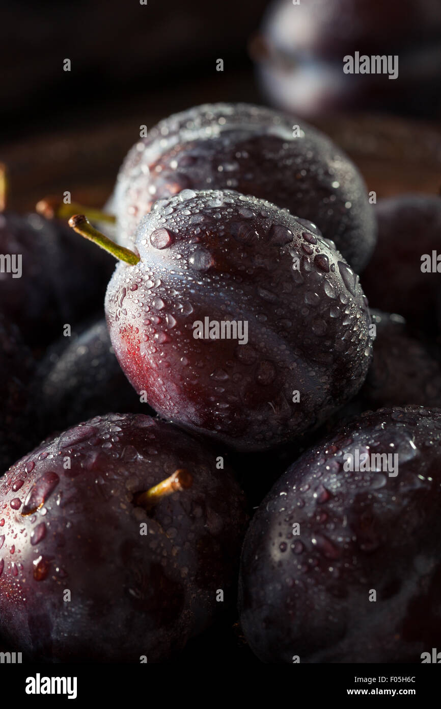 Organic Ripe Purple Prune Plums Ready to Eat Stock Photo Alamy