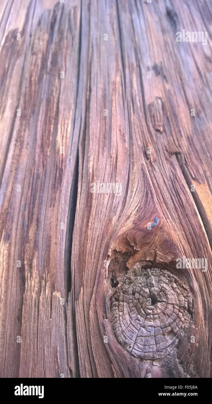 Rough wood knot hires stock photography and images Alamy