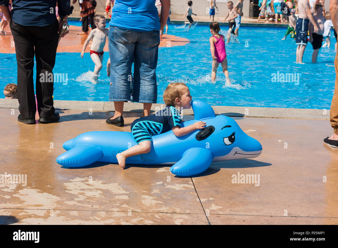 dolphin paddling pool