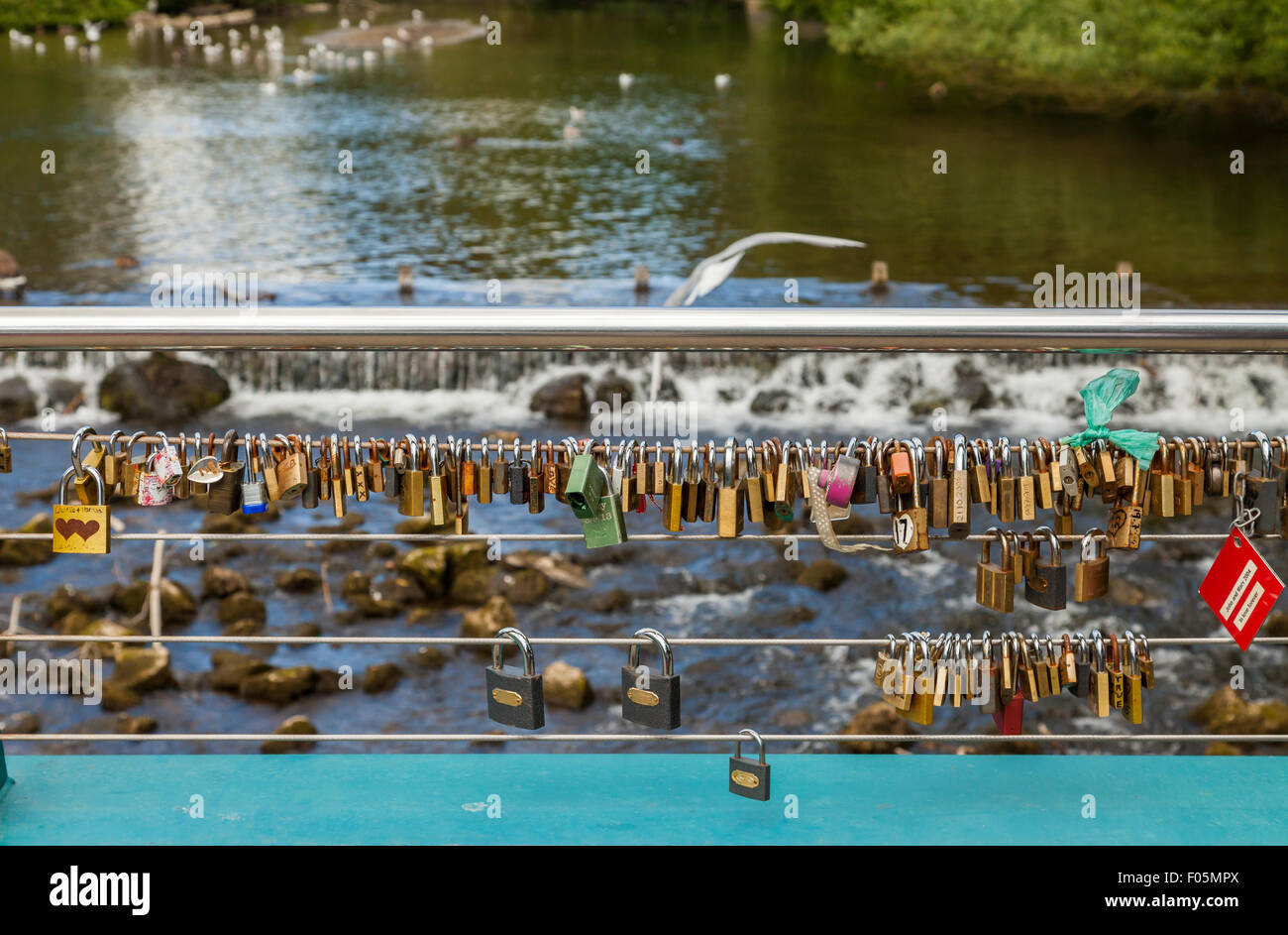 Love locks attached to the cable on weir bridge, Bakewell, Derbyshire, England, UK, Stock Photo