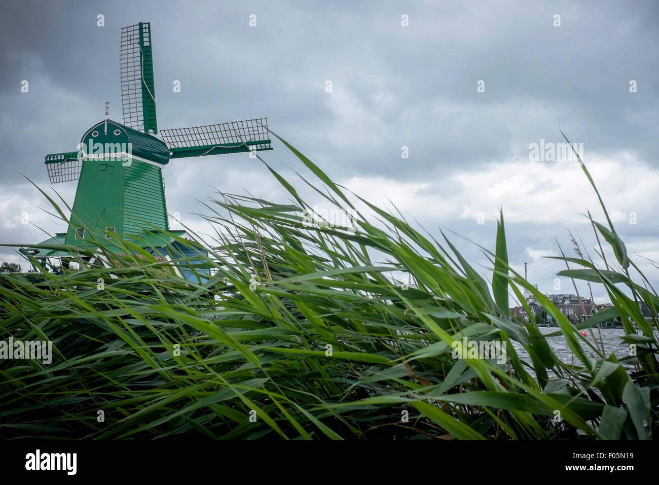 Green Windmill at Zaanse Schans, Netherlands Stock Photo