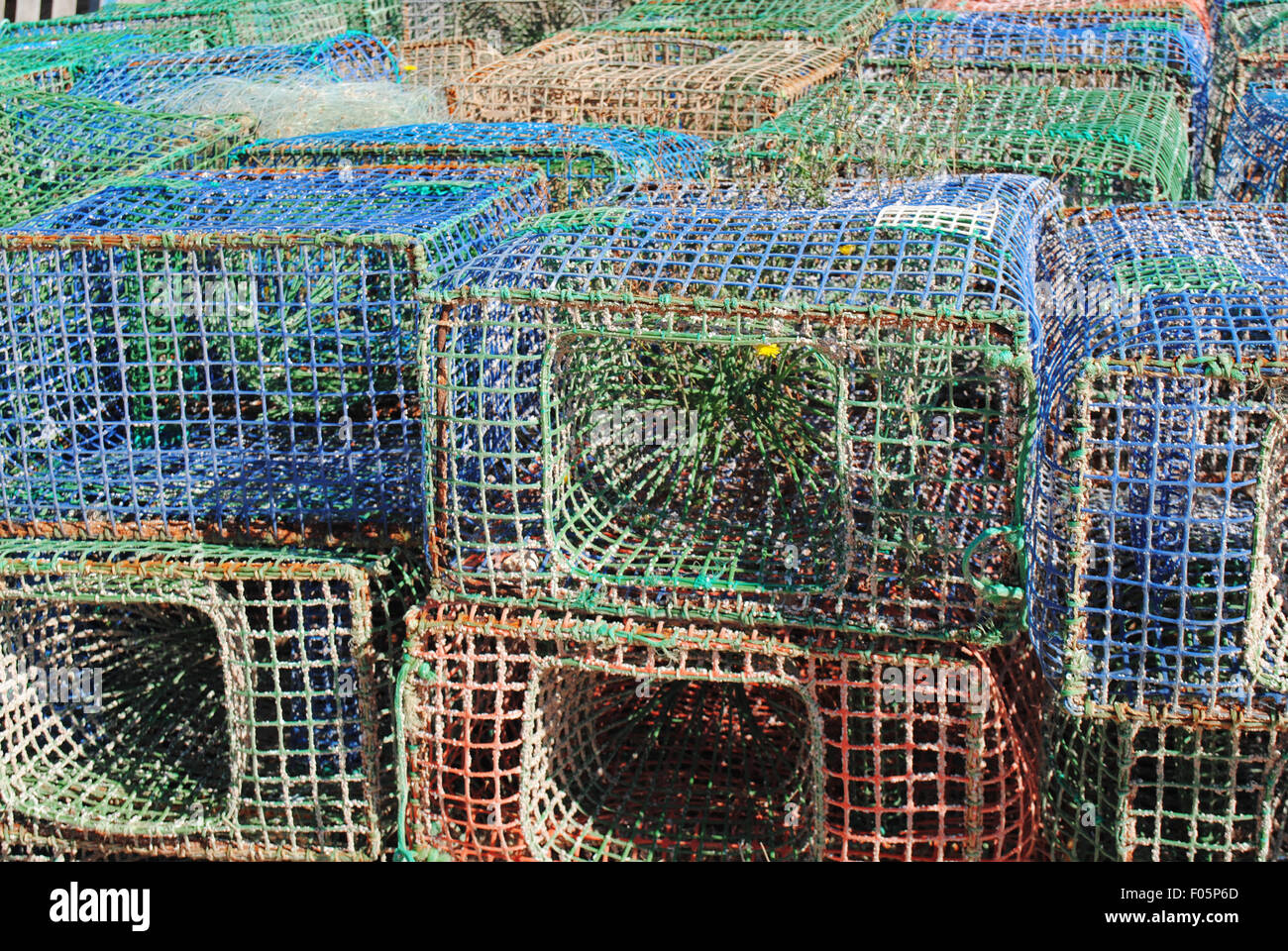 A close-up of lobster/crab traps. Stock Photo