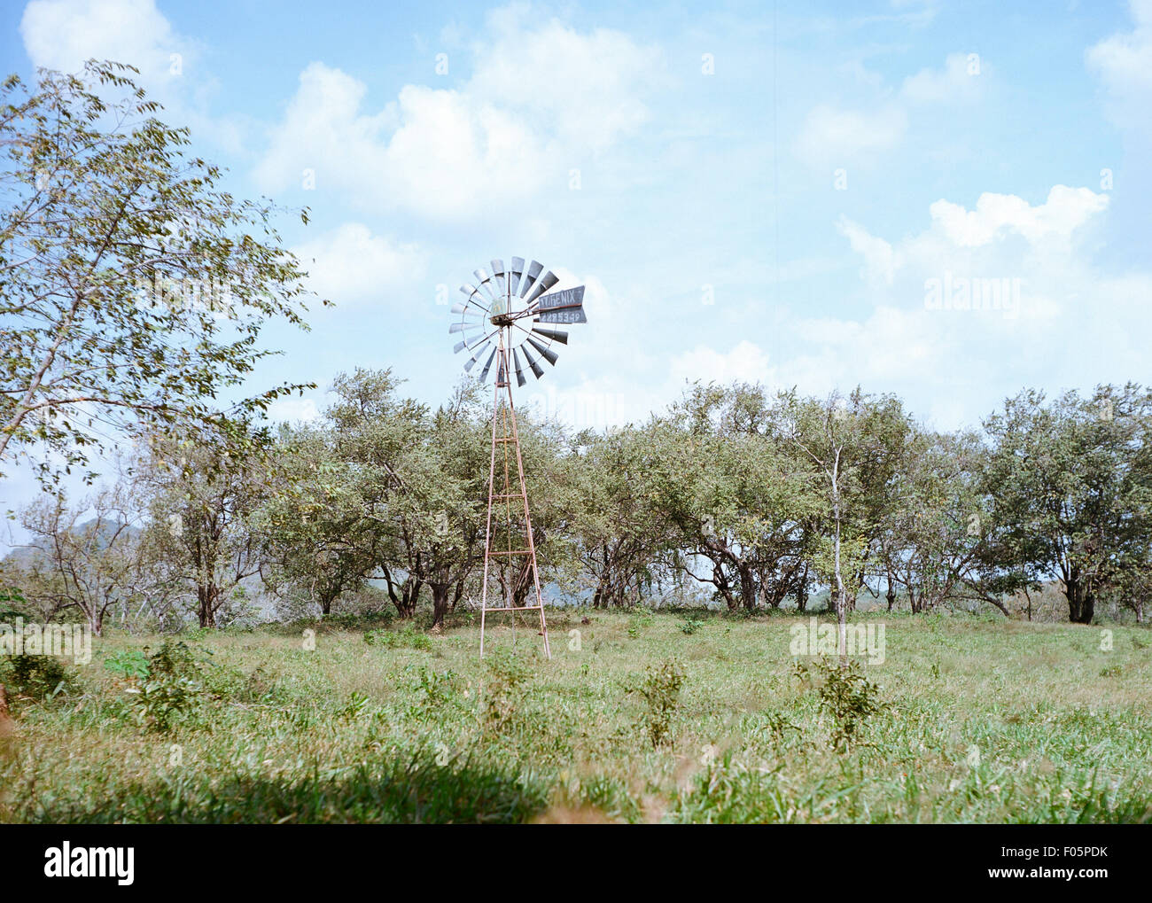 Old farm water pumping wind mill out of focus in the background in a pasture field Stock Photo