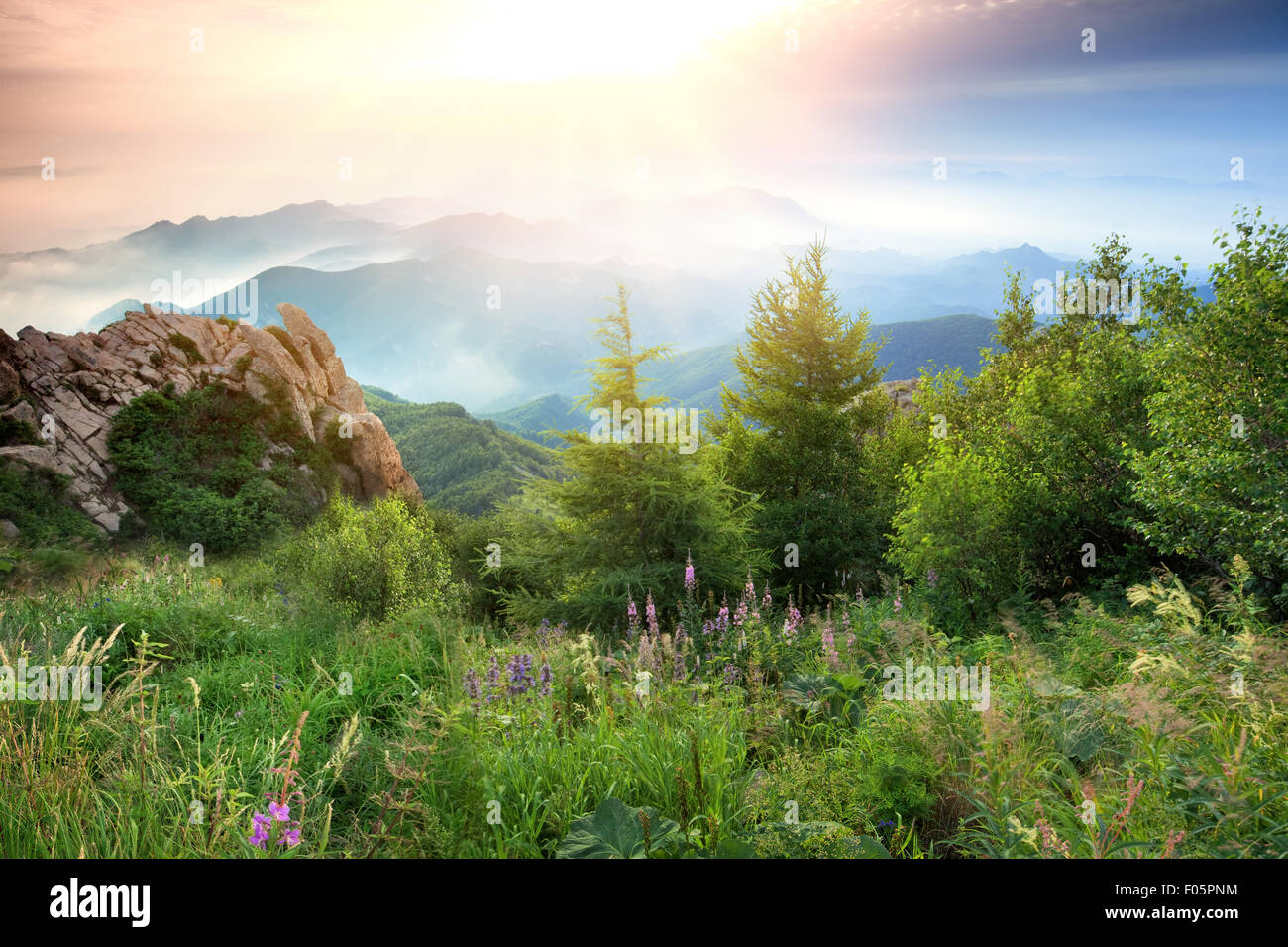 Summer landscape in mountains. Stock Photo