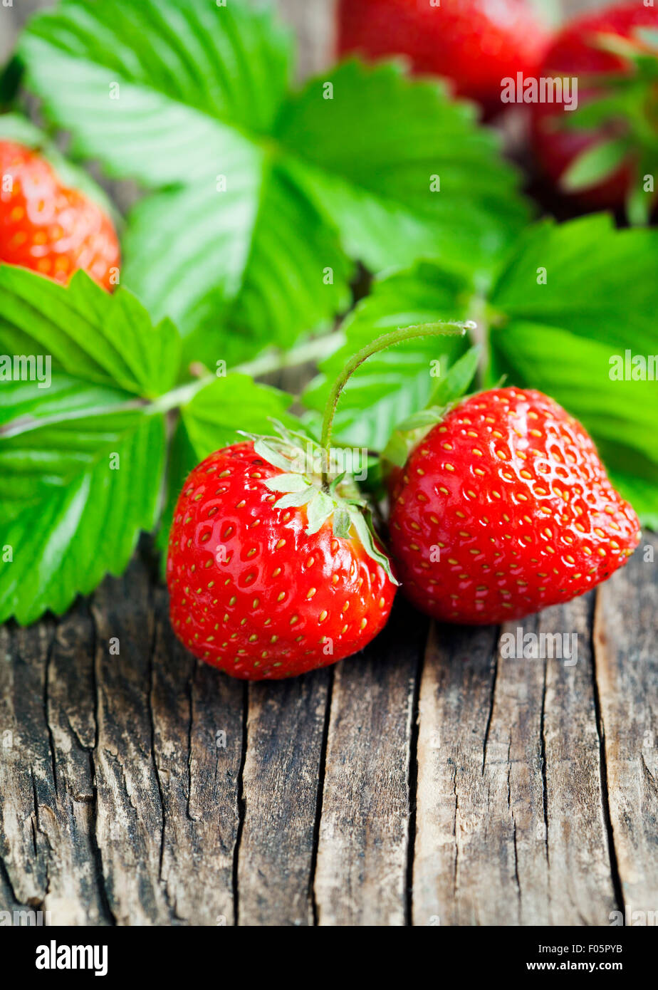 Fresh organic strawberry Stock Photo - Alamy