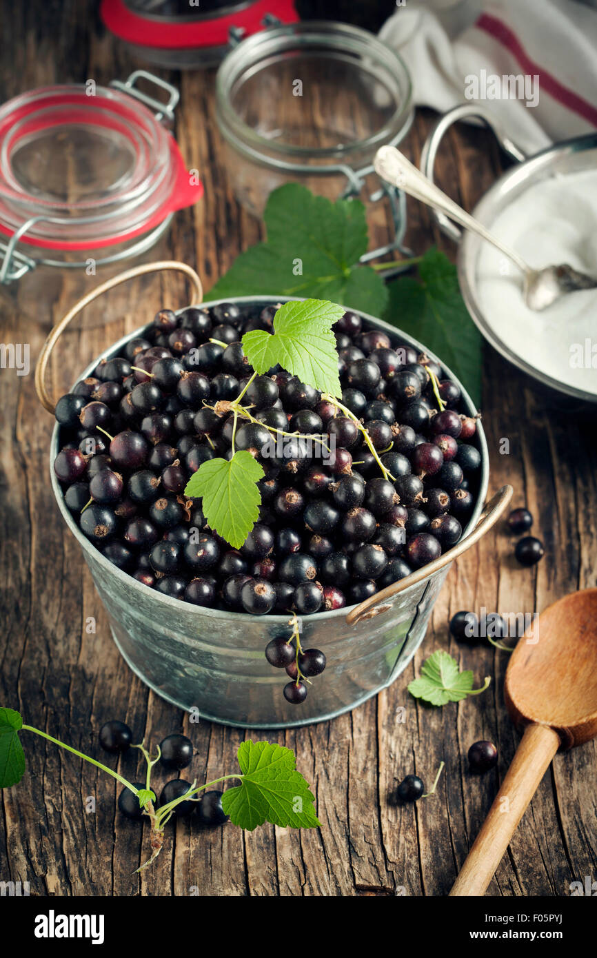 Ingredients for blackcurrant jam Stock Photo Alamy