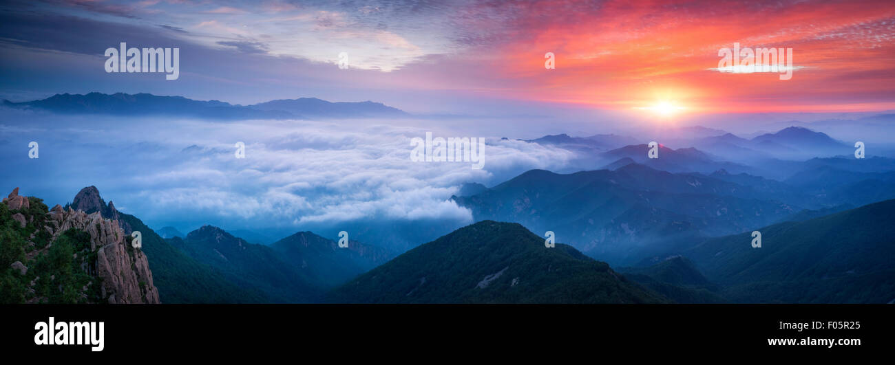 Fog and cloud mountain valley sunrise landscape Stock Photo