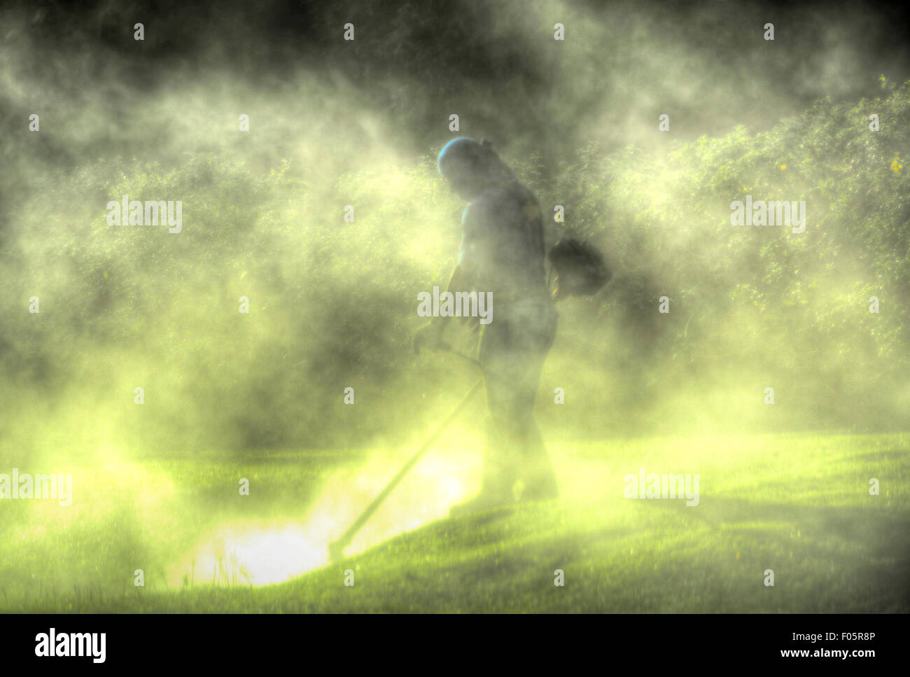 Man cutting grass in a foggy morning Stock Photo