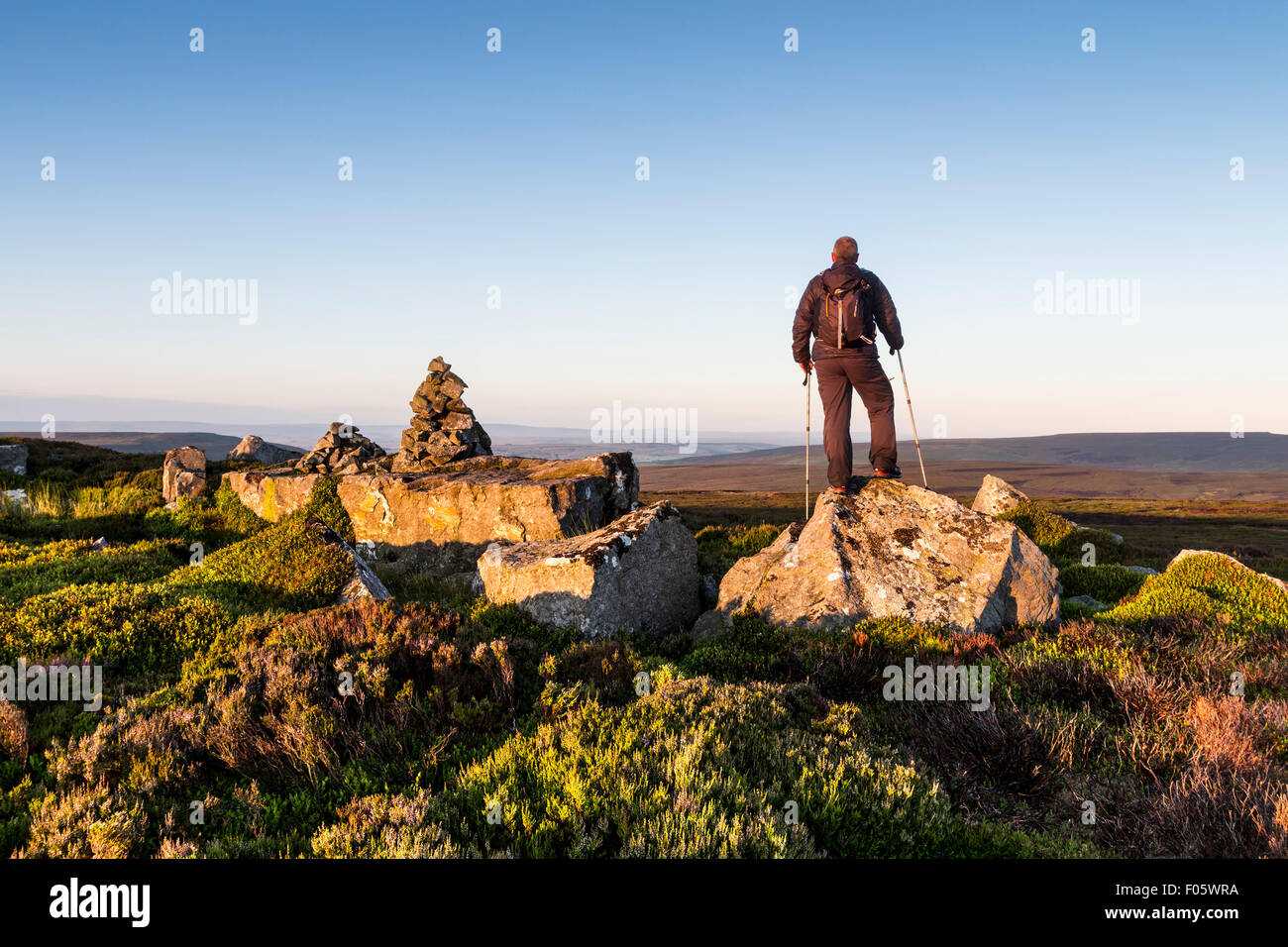 Long Man, Teesdale, County Durham, UK. 8th August 2015. UK Weather: With clear skies overnight temperatures dipped down to just 6 degrees C in County Durham. With a sunny day in prospect this hill walker was out at first light to enjoy the views over the North Pennine Moors of Upper Teesdale. Credit:  David Forster/Alamy Live News Stock Photo