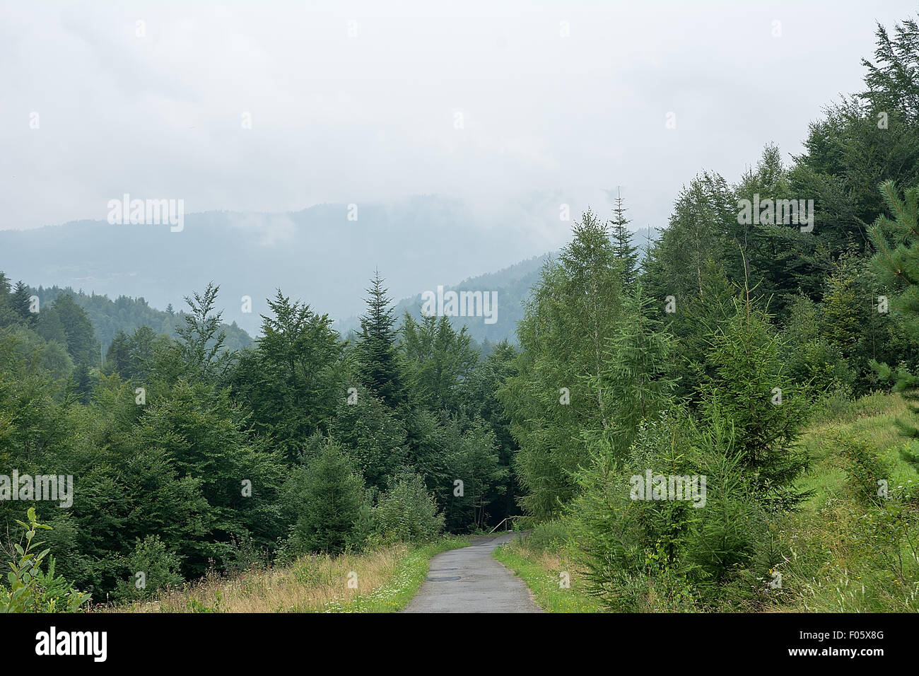 Road in Beskidy mountains in Poland) Stock Photo