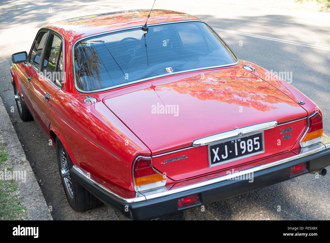 Series 3 1985 classic red XJ6 jaguar 4 door saloon car in new south wales, Australia Stock Photo