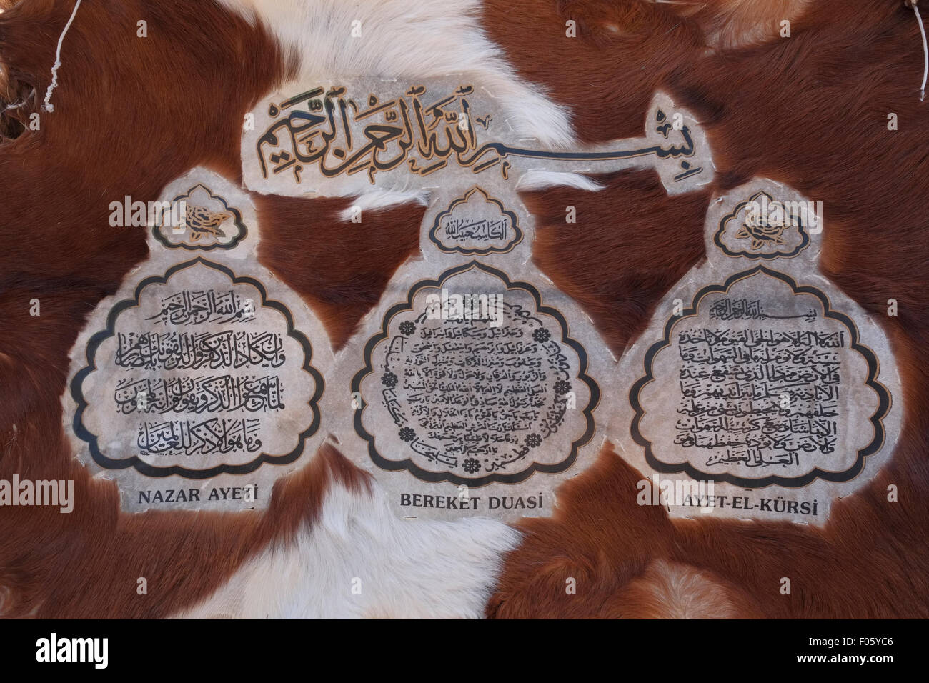 Verses from the religious Islamic Quran or Koran in Arabic over a