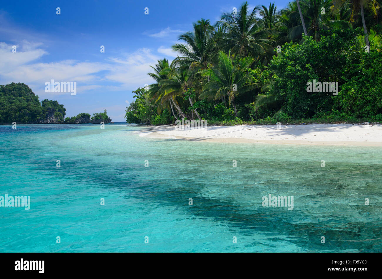 White sand beach on a tropical island surrounded by coral reef, Raja Ampat, Indonesia, Pacific Ocean Stock Photo
