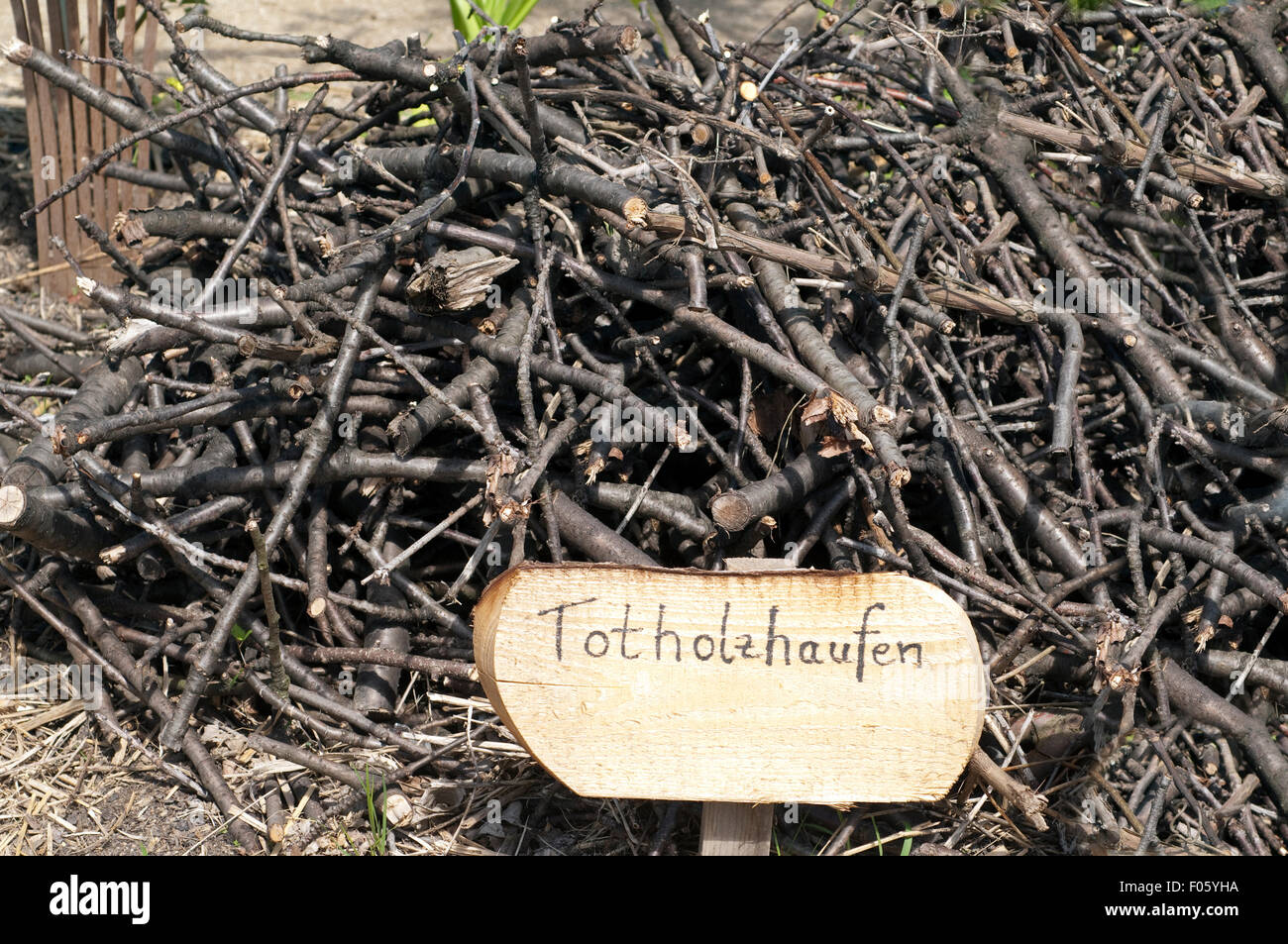 Totholz, Artenschutz, abgestorbene, Holz, Stock Photo