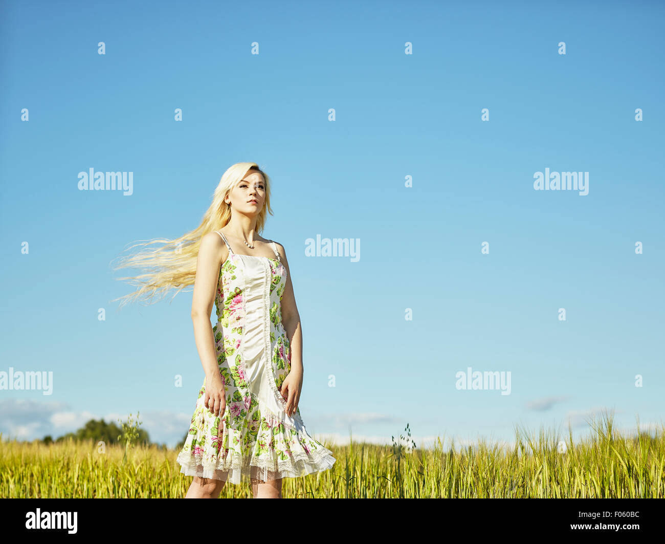 Beautiful fair skin blonde wearing a floral dress, summer sunlight, barley field on background Stock Photo